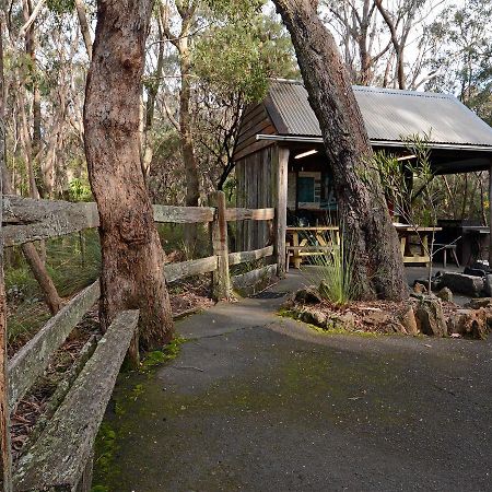 Jemby Rinjah Ecolodge 黑荒地 外观 照片