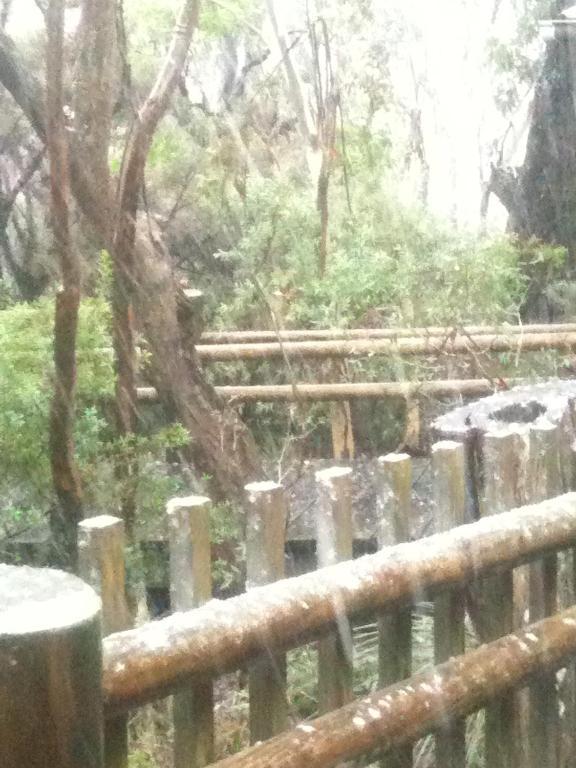 Jemby Rinjah Ecolodge 黑荒地 外观 照片